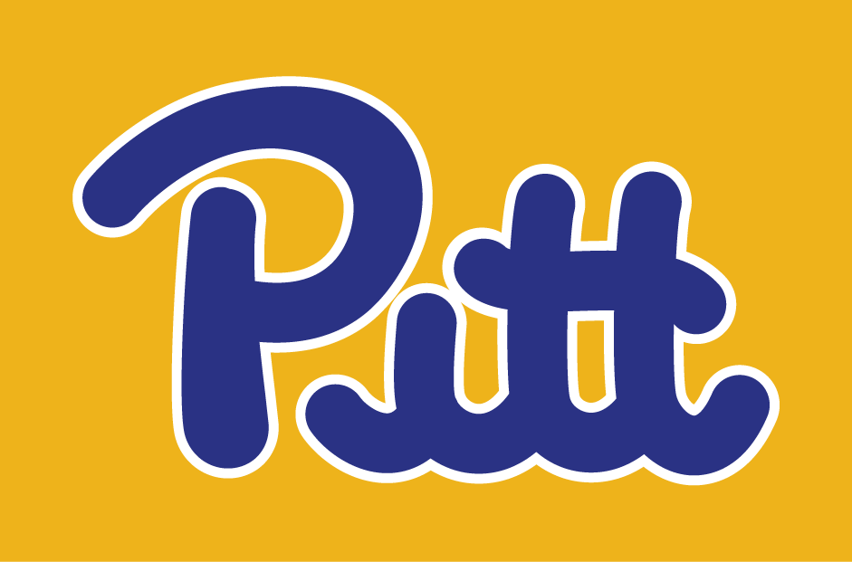 Pittsburgh Panthers 1973-1996 Wordmark Logo t shirts DIY iron ons
